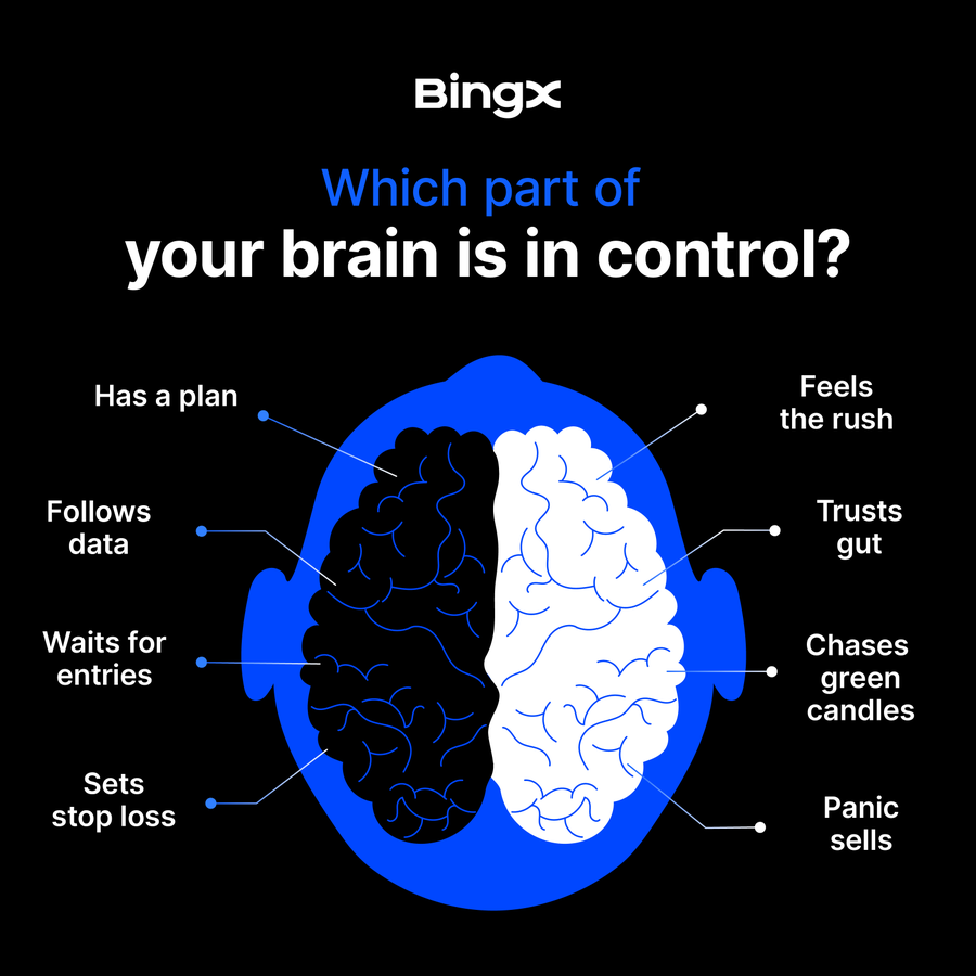 BingXOfficial's tweet photo. Which side of your brain is trading today?

Plan or impulse? https://t.co/8EYeoqfDIY