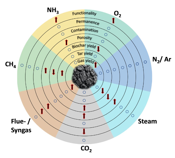 Biochar_Journal's tweet photo. The atmosphere around biomass is more than a background condition.

CO₂, steam, O₂ and NH₃ can tune biochar porosity, surface chemistry and product yields during pyrolysis.

This review maps how process gases can enable one-step biochar engineering.
https://t.co/IUP7Hn78MW https://t.co/M5O3DVQaFK
