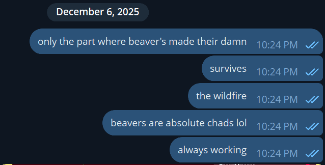 CatDevSupreme tweet media