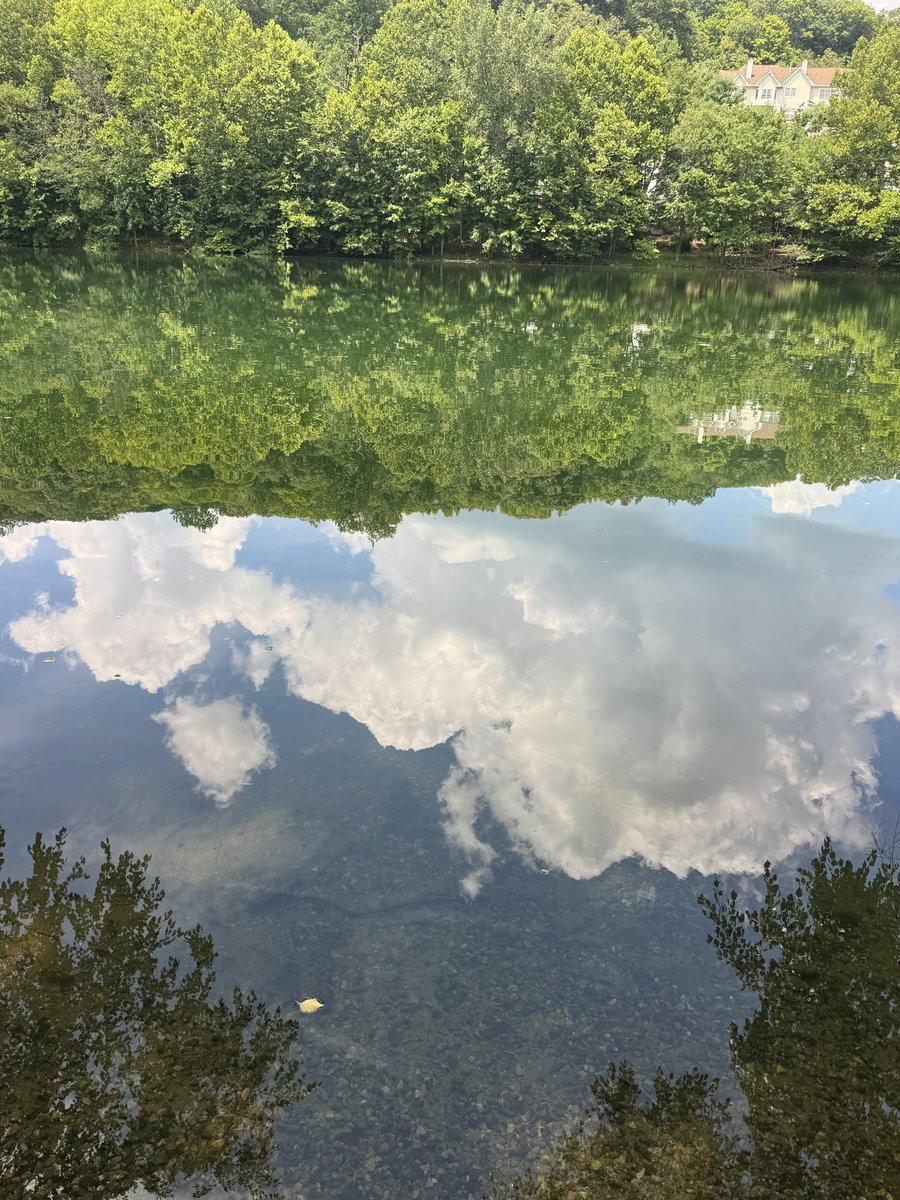 mattmondanile's tweet photo. outside all the time https://t.co/ZFoVQ5Fg5y