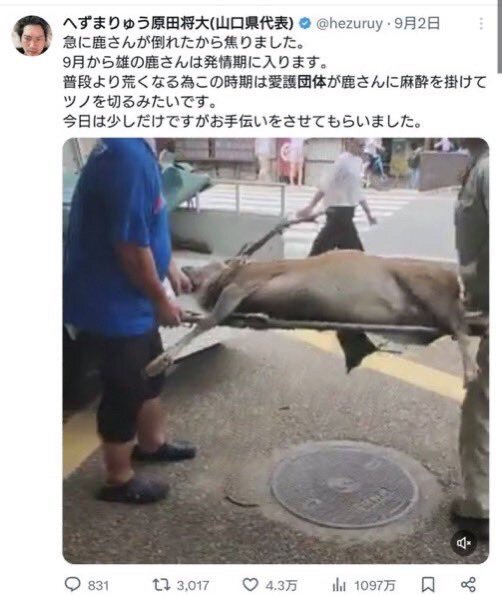 fuku_musuko's tweet photo. ふむふむ。 https://t.co/SN0oklhem8