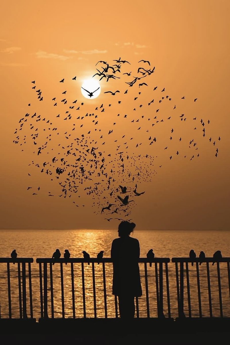 hebertthibw7bm's tweet photo. درس في الحياة: Kant claimed that happiness flows from an orderly interior life. 🌥️ pruschke johanna https://t.co/IPu87IbMzI