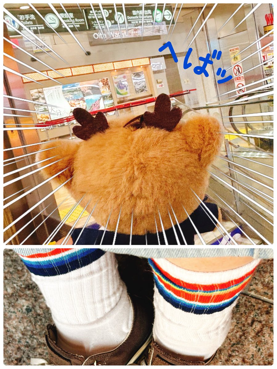 えり🐯げん tweet media