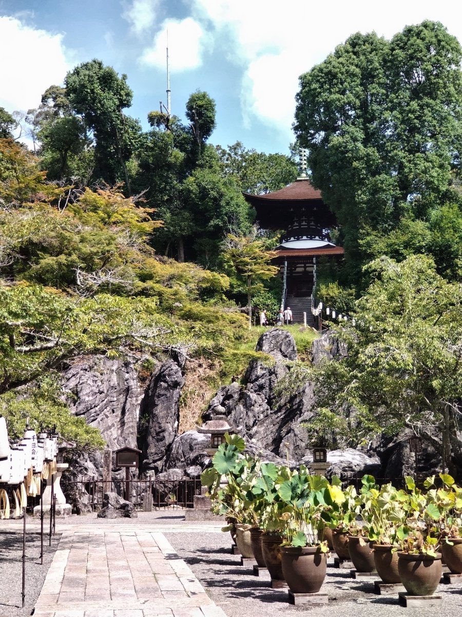 ringoringoSS's tweet photo. 石山寺 本当に天然記念物の石の山なんだ。迫力あって美しい。街中よりは確実に涼しいのだけど、この石段の登り降りで汗が止まらず、叶匠壽庵さんでかき氷。 https://t.co/jop6XmT03w
