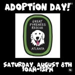 Photo by GP Rescue Atlanta (@GPRAtlanta)