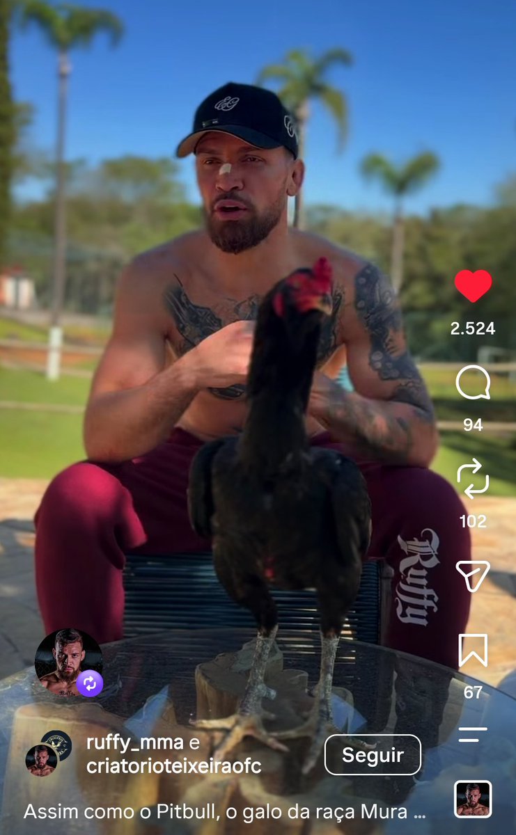 eusabodeufc's tweet photo. Maurício Ruffy faz a vida ser simples e bela

Uma hora ele tá dando um grande show de MMA, outra hora ele tá produzindo conteúdo sobre galos

Impossível ser hater desse homem, futuro campeão do UFC https://t.co/9UbUyCqbmG