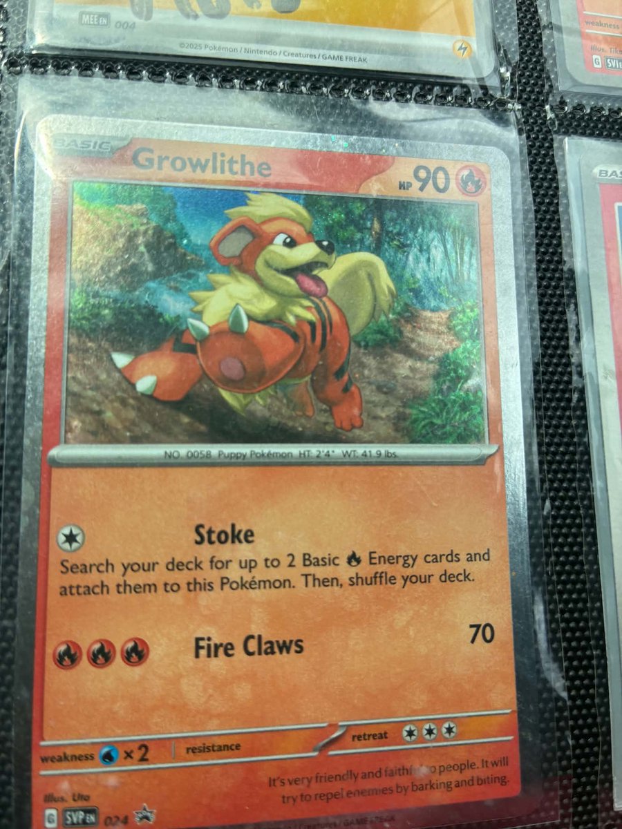 chemkid94's tweet photo. New pickup for my Growlithe binder beautiful promo #pokemontcg #binderprogress #pokemon #masterset https://t.co/R10FxwNezr
