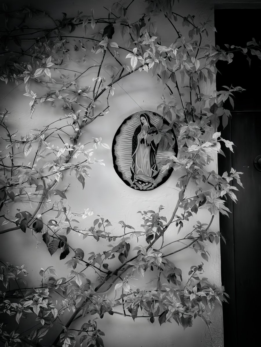 corpsests tweet picture
