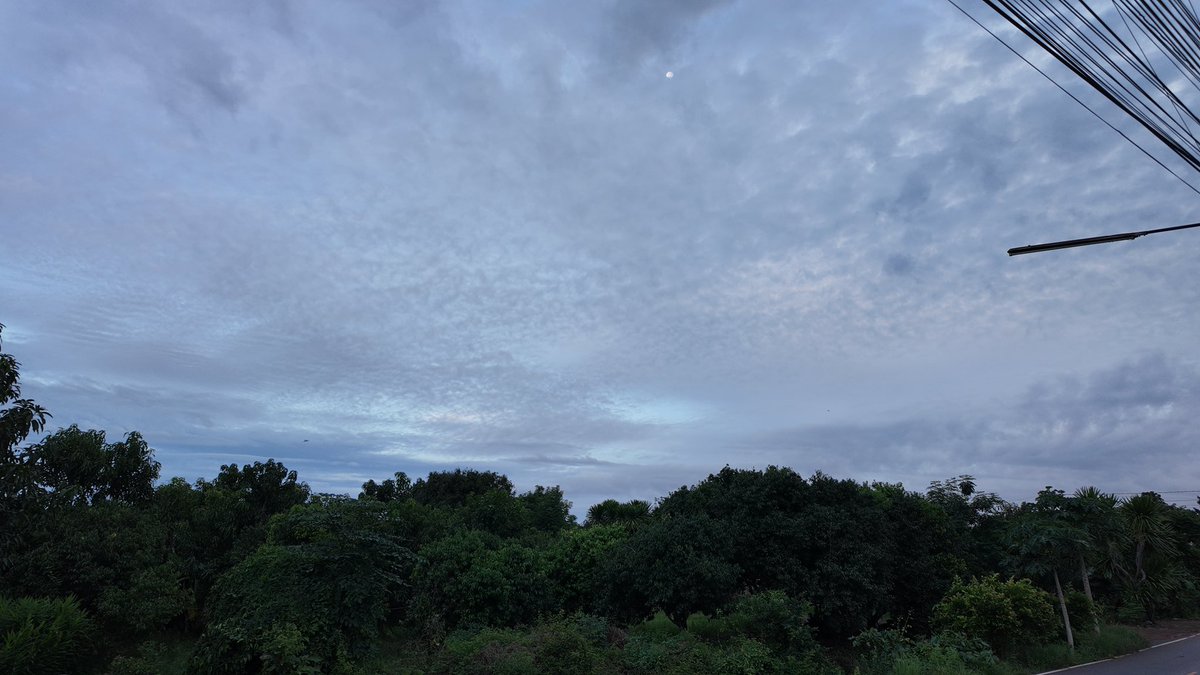 BNgamsopha's tweet photo. ピチットの田舎の朝
#イマソラ #OsmoPocket3 https://t.co/cmNgW3zLNS