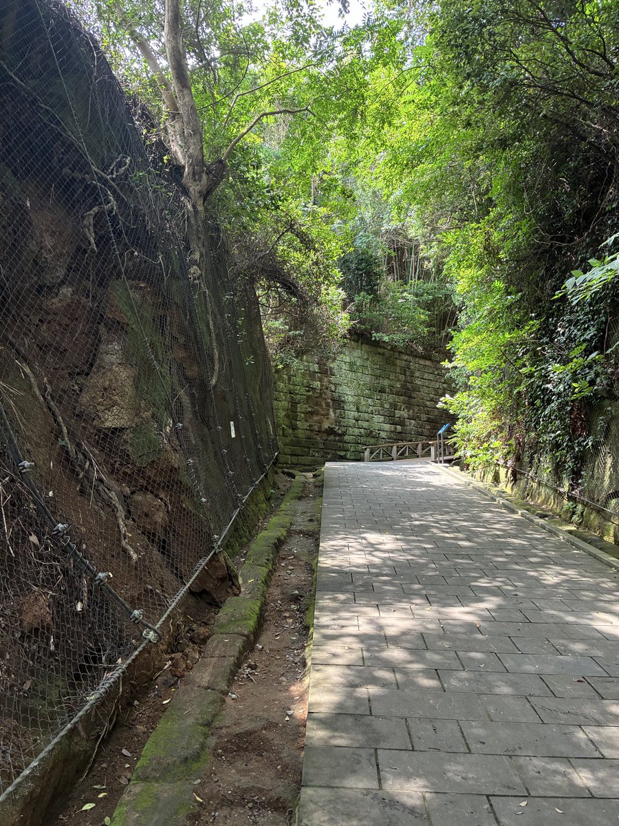 kQHwJgs95O2Pgi6's tweet photo. 横須賀の猿島へ。
猿島は東京湾に浮かぶ唯一の自然の無人島。幕末から第二次世界大戦まで東京湾を守る要塞。現在もレンガ造りのトンネルや砲台跡が残っている。
初めてガイドさんをつけ観光しましたが、何倍も充実した時間を過ごせました。60分800円だったかな？猿島へ行かれる方はおすすめです。 https://t.co/7DzSmzv62v