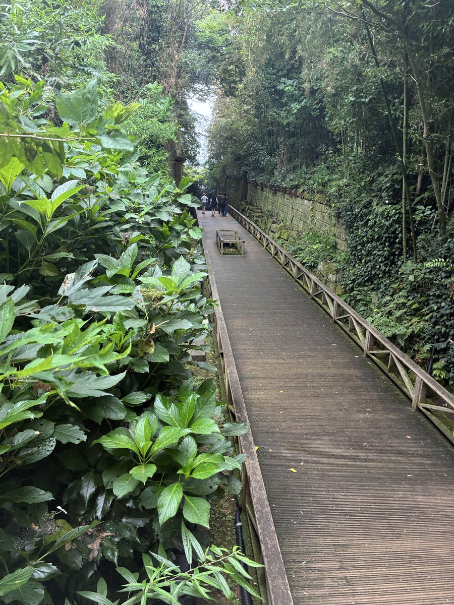 kQHwJgs95O2Pgi6's tweet photo. 横須賀の猿島へ。
猿島は東京湾に浮かぶ唯一の自然の無人島。幕末から第二次世界大戦まで東京湾を守る要塞。現在もレンガ造りのトンネルや砲台跡が残っている。
初めてガイドさんをつけ観光しましたが、何倍も充実した時間を過ごせました。60分800円だったかな？猿島へ行かれる方はおすすめです。 https://t.co/7DzSmzv62v
