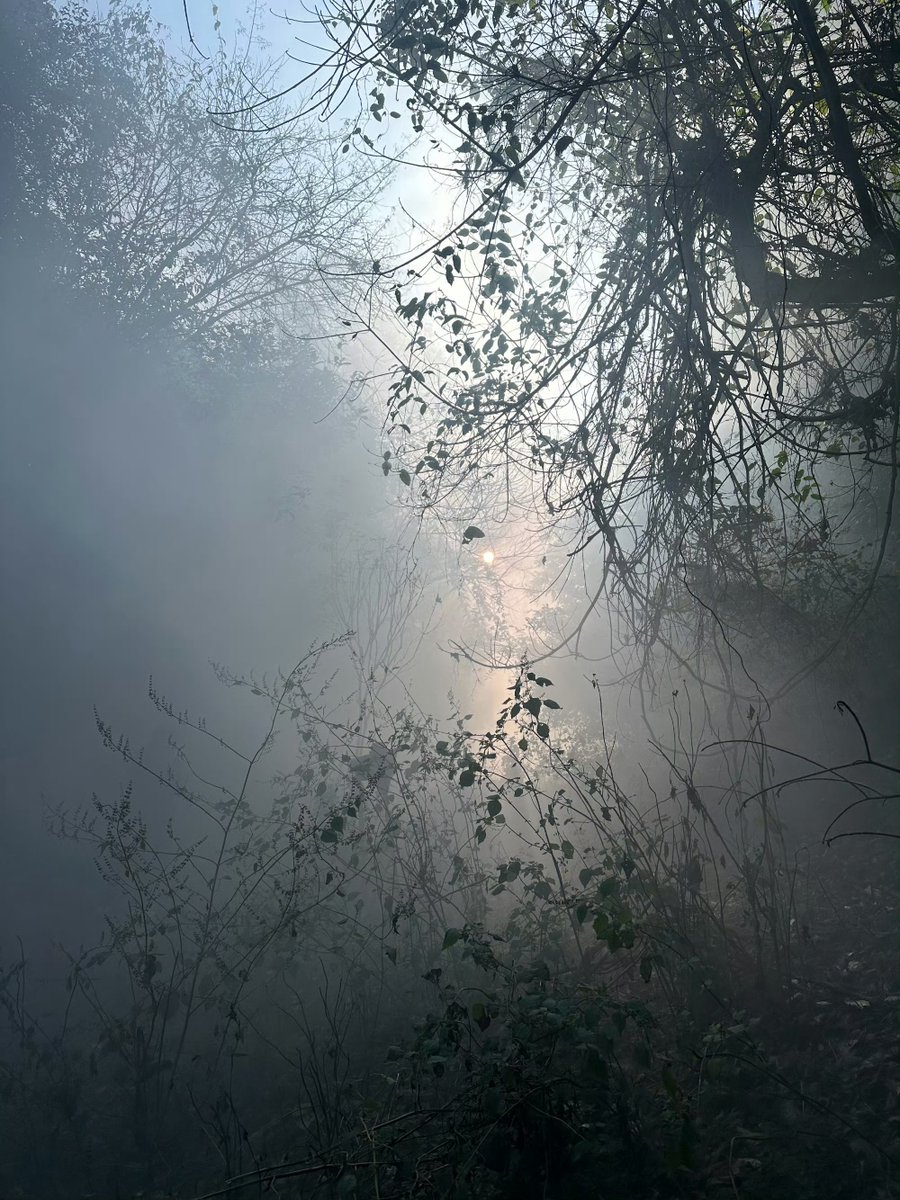 lleizm1's tweet photo. 260801 Qingtian's actor Hu Yichen's weibo update; 

"The world loves earth-shattering stories. The world fears total defeat. The world fears being wounded by its own obsessions and consumed by a blazing hell. But who can say whether hell itself is the true paradise? Or whether the deepest layer of hell is, in fact, humanity's playground? So I wish you hell. I wish you rebirth from the flames. I wish that you never remain trapped in the past. I wish that you find your way through hell as if it were a game. I wish for the stars to keep you company, and for the fireworks to understand you, never leaving your side. May the rain that pours from empty delusions come when it is meant to, and may impermanence itself grant you ten thousand miles of clear skies."
(ai translated)