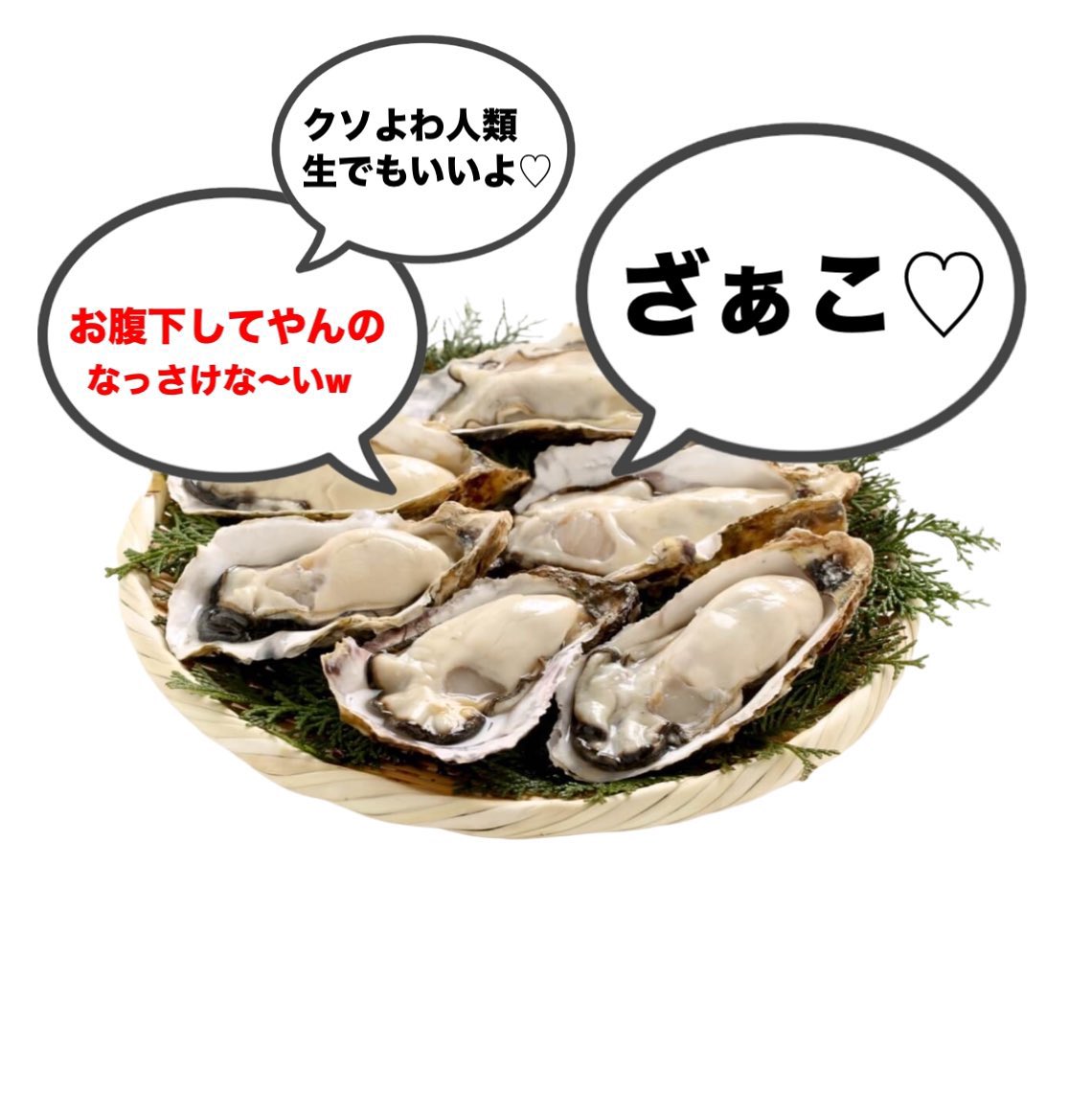 kisaragi_sun's tweet photo. @campagne_9 @suuzanantonko メス牡蠣定期 https://t.co/DHtvP8Mh1V
