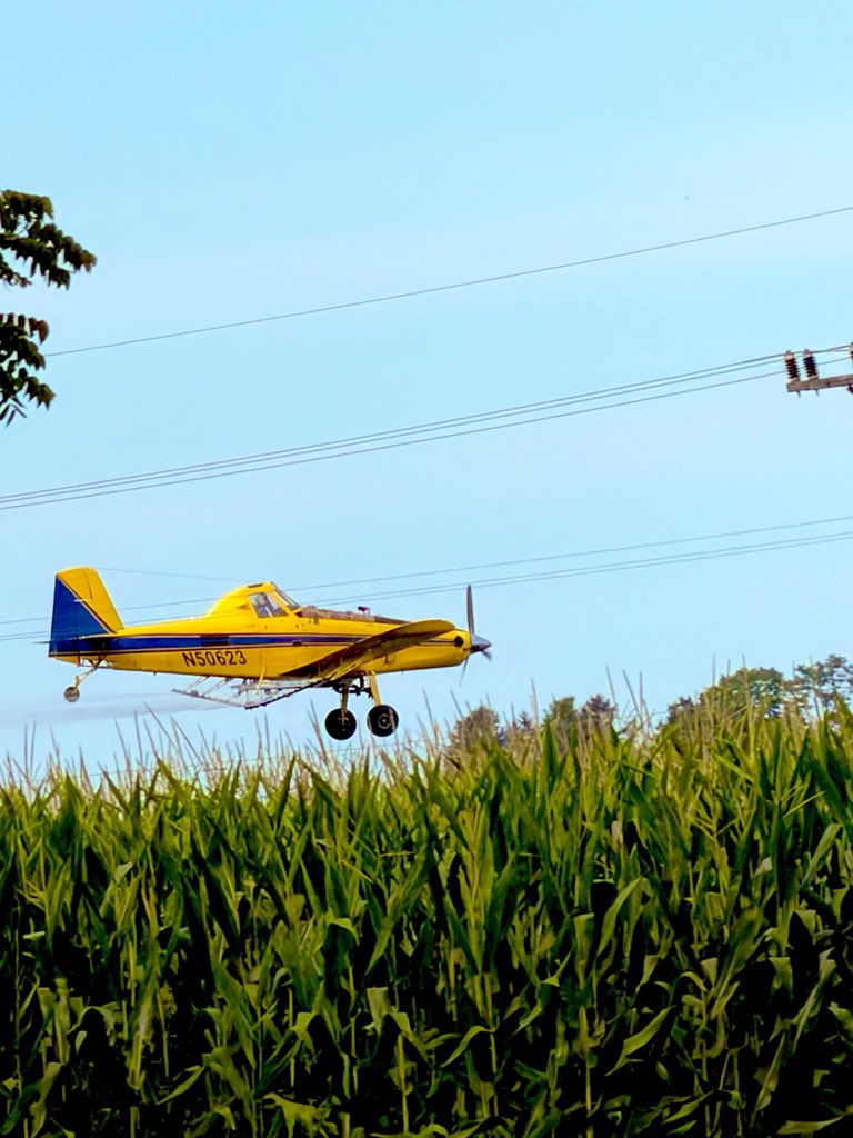 Flawwed1Art's tweet photo. I had the pleasure a couple days ago of watching a crop duster at work. It’s something I’ve seen before. But I never sat with for an hour or so, and just kind of watched pretty much every maneuver. So much skill involved in what they do for a living.
#Karvan #Caravan #StarForge https://t.co/OR8IG3JfTq