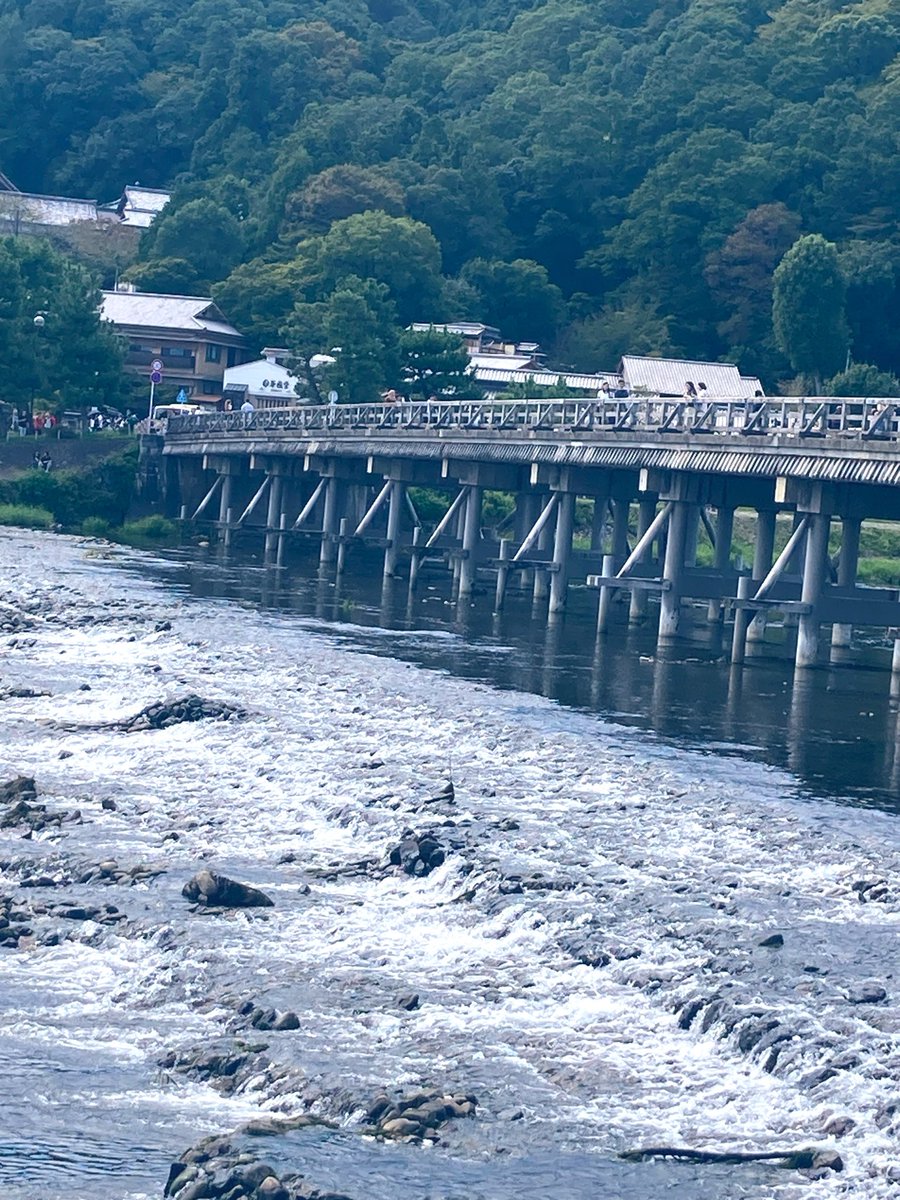 510615816yht's tweet photo. 渡月橋を流れる川
最高の景観♬*゜
涼しさのお裾分け(ｶｺｼｬｼﾝ)

満月の夜、月が橋の上を
渡るように見えたとか
〜渡月橋の由来より🔍〜

おはようございます◡̈*

涼しくして優しい時間を
お過ごしくださいね🌿🌿 https://t.co/5ZjrJkpTVT