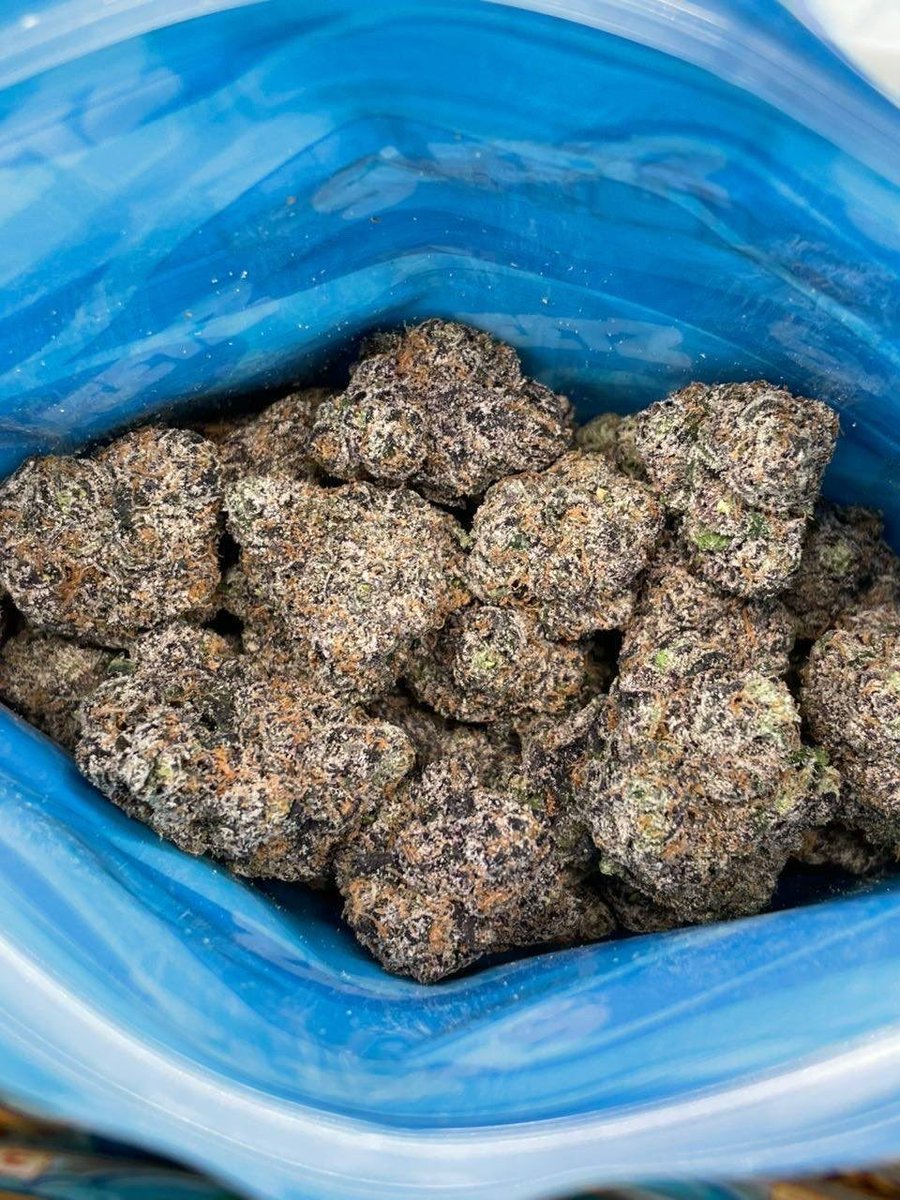 XthaPlug001's tweet photo. ⬆️ Sweetz Exotics flower 🍭
Beach House Edition 🏖️
Actively replying DMs📲
Delivery 🚚💨
#Dallas #DTX #DallasFreaks #DallasMeetups #DallasMeets #texas #texasgirls #dallasgirls #Dallasdowntown #ATX #Dallasweed #DallasPlug #DallasCowboys   #Zaza #Exotics #ZaTWT #TexasPlug https://t.co/eIbdHJnXOB