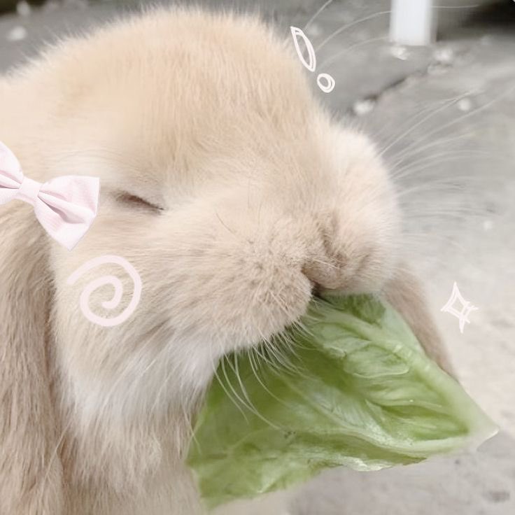 purelynymph's tweet photo. More selfies of me🎀🧁 https://t.co/5M6A2GfRyU