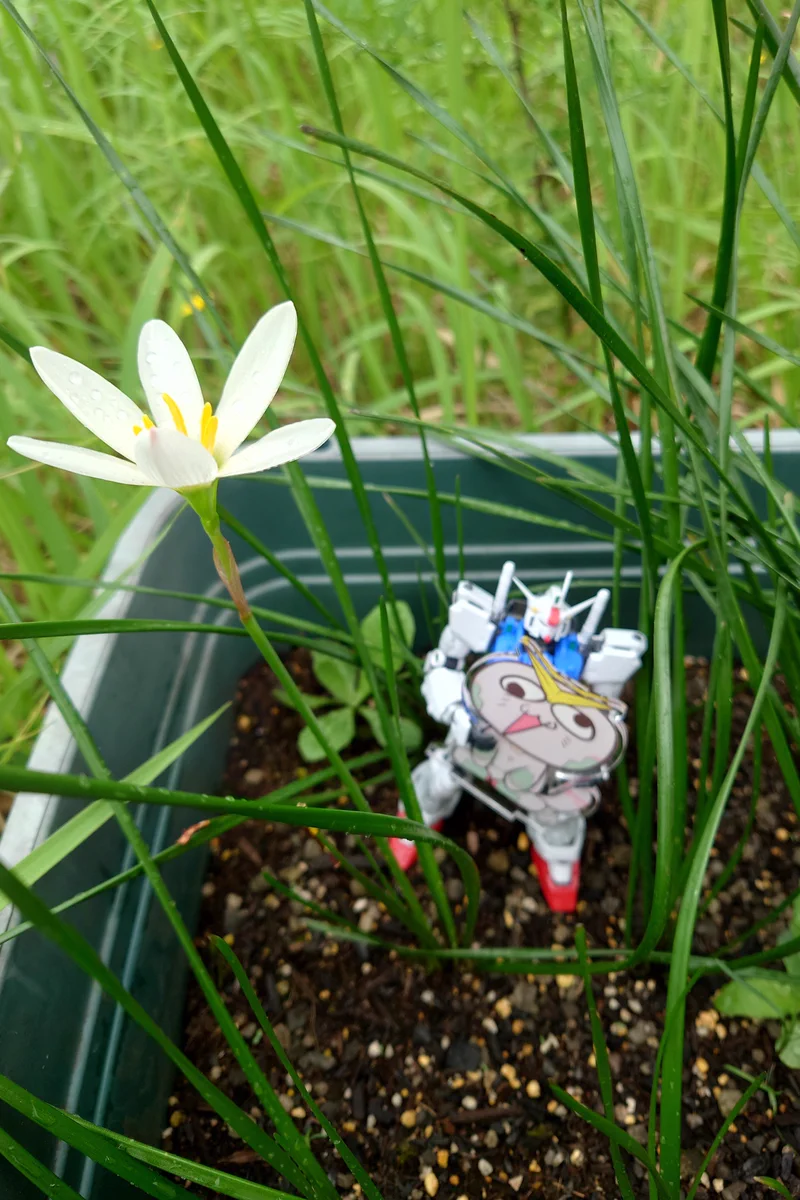 Reposts by 🖖(ﾌﾙ ᴗﾌﾟﾗ ) (@fulupurakouba) / X