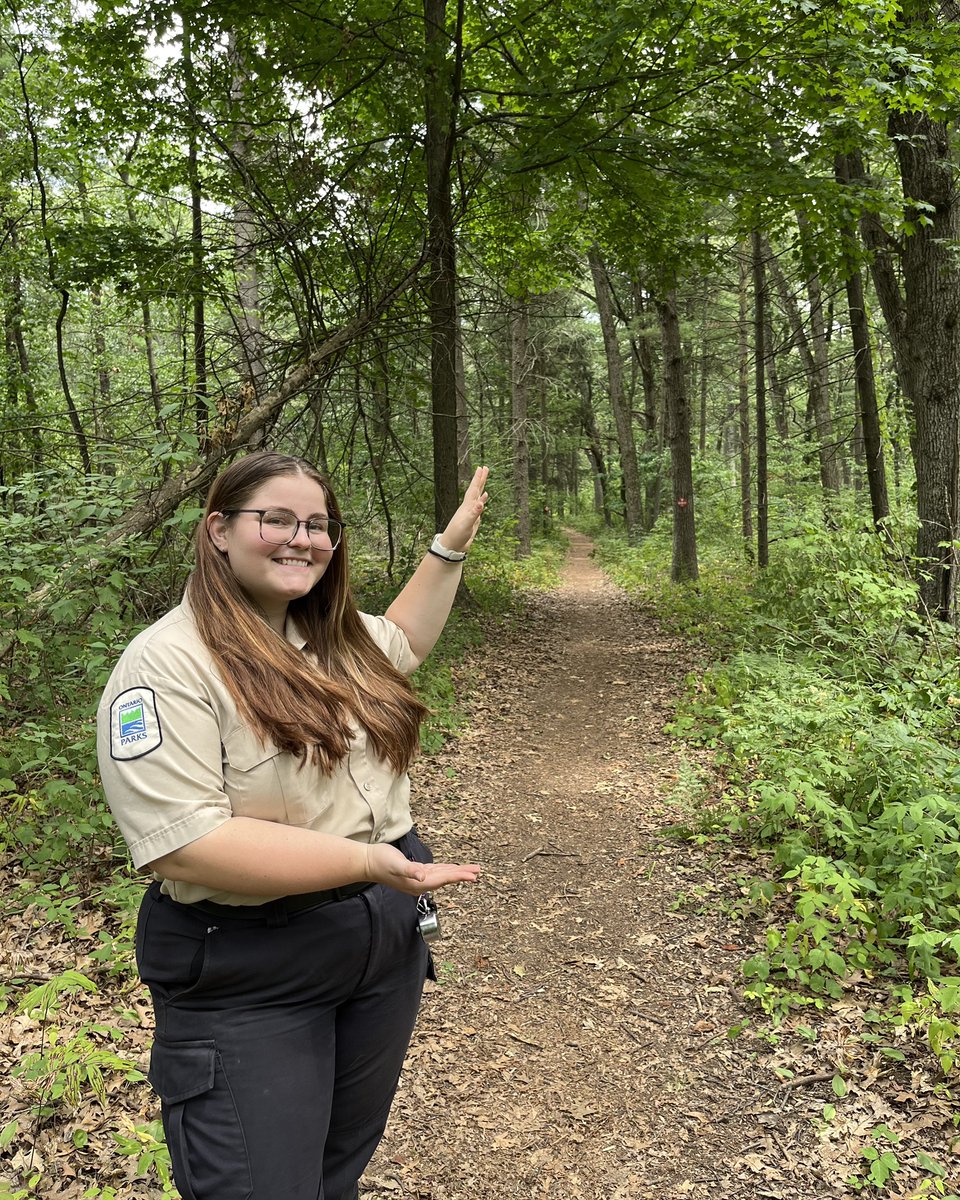 TurkeyPointPP's tweet photo. 🥾 Did you know August 8th is #TakeAHikeDay ? 🌳 On August 8th, visit our park to check out our hiking trails and experience nature! 

Check out the Ontario Parks blog for all the details: https://t.co/rWqPeznffa

#DiscoverOP #TurkeyPointPP #OntarioParks https://t.co/xVSTUeXpiI