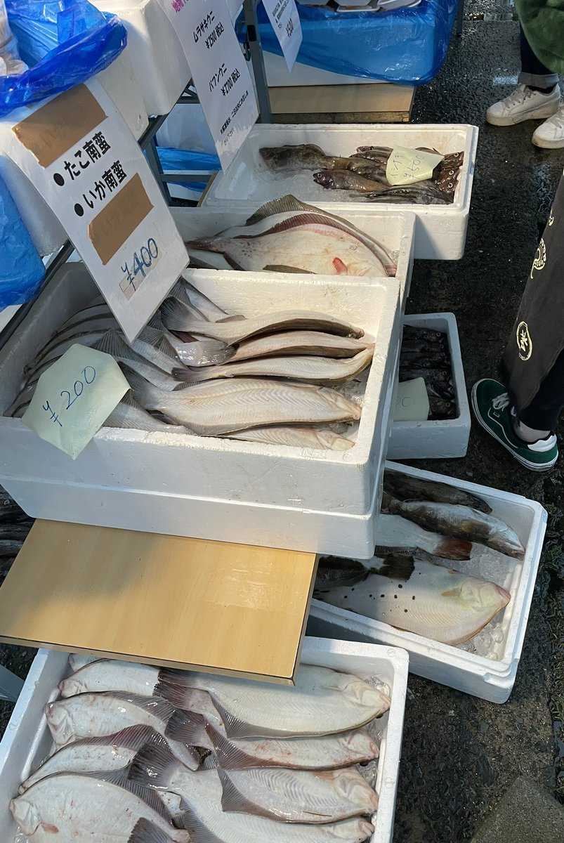 tomiko_ohdate's tweet photo. 8/2 朝市
雨。午前4時。真っ暗な中 漁船の灯りに しばし見惚れる。好きな景色。（この時間 開店前から並んで 今週も ホヤ買えた😋
鮮魚の店に並ぶ魚
先週から気になってたダリア買った 一束200円
キンメダイの開き 約30㌢ 600円 今晩 焼こう #はちのへ #舘鼻岸壁 #漁船 #キンメダイ #鮮魚 #ダリア https://t.co/nj3gUg4MJE