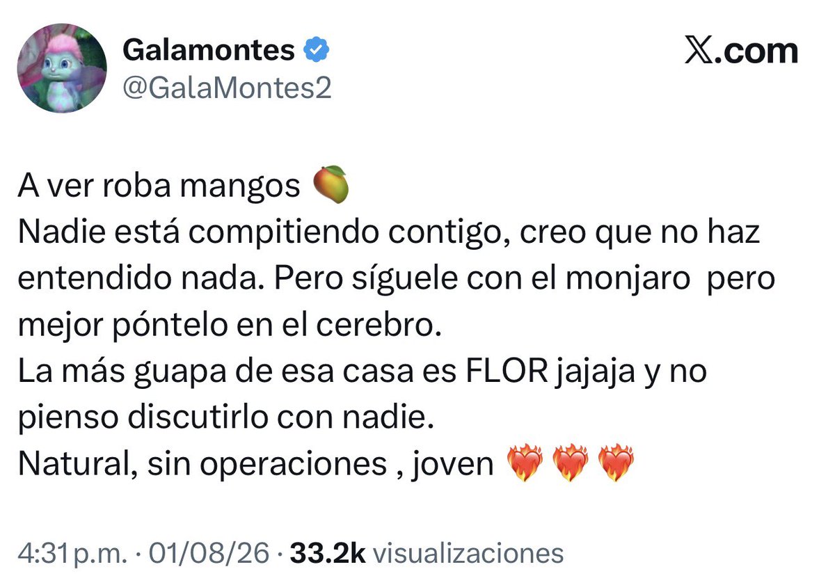 dimeperra's tweet photo. AJAJAJAJA la gula @GalaMontes2 ahora está peleando con la cuenta parodia de Mariana Echeverría Y VA PERDIENDO 😭 https://t.co/6ntARZTqlZ