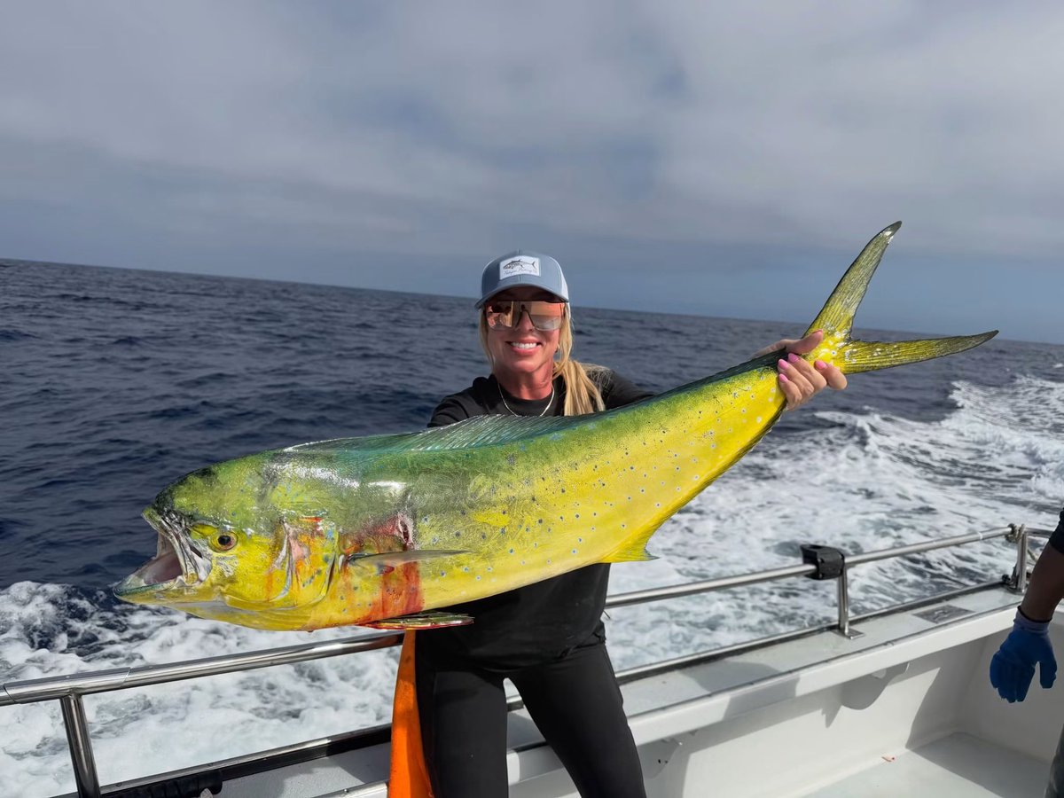 socalsalty's tweet photo. Big 805 dodo on the Graylight today https://t.co/SyXhu30eiC
