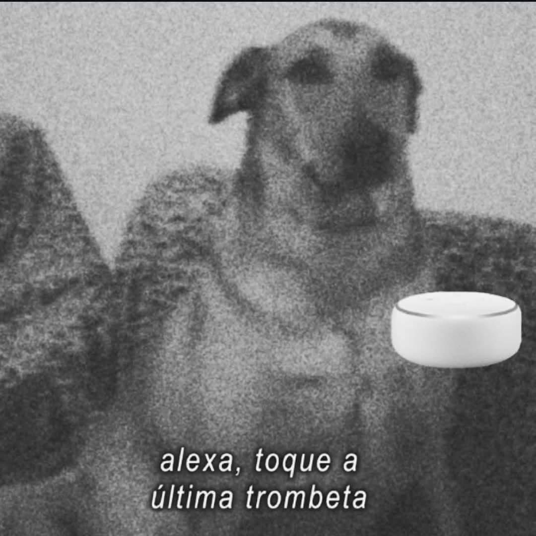 williamlucasbar's tweet photo. @uberdam Brinca muito https://t.co/HfIUZ4coKY