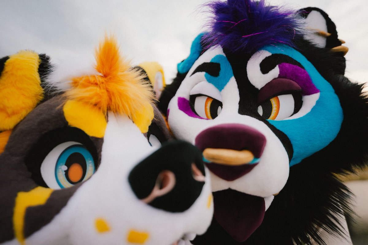 Hypnohound's tweet photo. Four whole years with @fawxbite , he’s my best friend and i love him to pieces 💕💕 https://t.co/rFRsVgpYAz