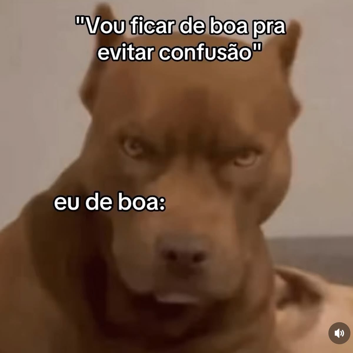 paginalixo1's tweet photo. https://t.co/0FIFvTL3kZ