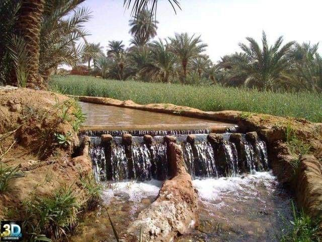 sheriv_abd's tweet photo. 🌺 الطبيعة هنا ليست منظرًا فقط، بل إحساسٌ لا يُنسى https://t.co/r2RIuYMBCf