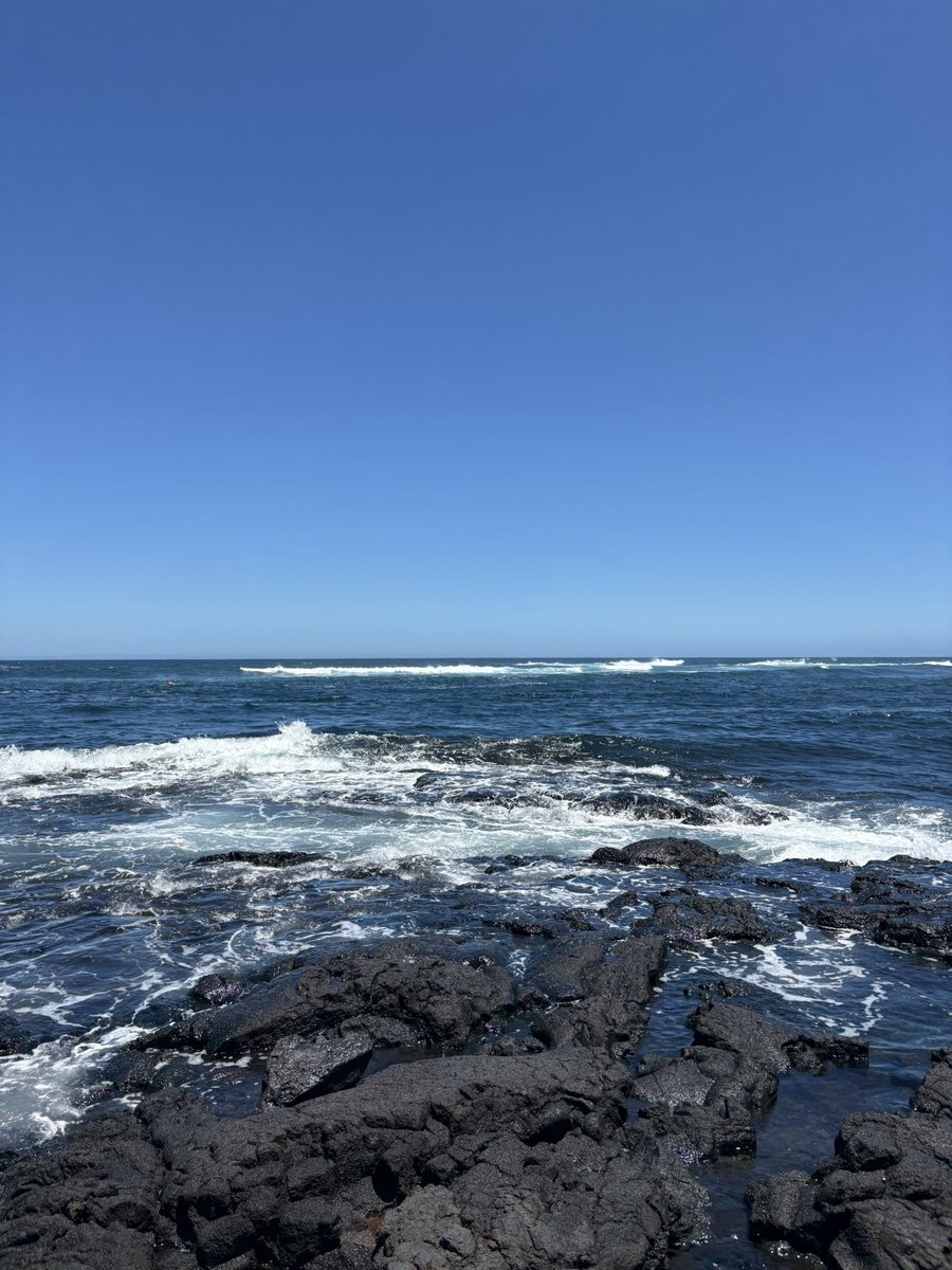 Jarek_a09's tweet photo. Hawaii went crazy with my love🌴❤️ https://t.co/z3adwGiIFY