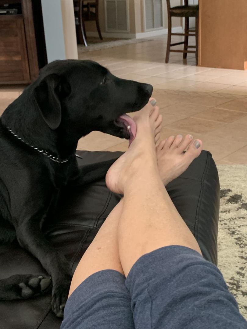 KnottyPrincessk's tweet photo. Part of my world!!!❤️🥰🐾🐶

Exclusive contents only⬇️⬇️⬇️

https://t.co/cOFxJ1B1qG

https://t.co/cOFxJ1B1qG

#Zoo #k9 #Zoosex #blonde #Zoolife #k9love #Dogknotting #ZooOnly #beastiality #USA #Anal #Doggy #Zooisvalid #Zoolover #Germany #Brisbane #Menu #Knotty #Head #Dogmum https://t.co/nQzyHCA9VC