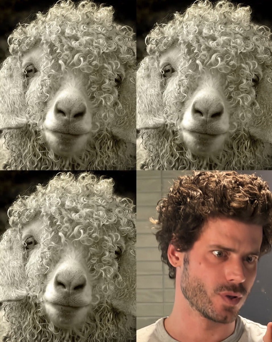 lovvecois's tweet photo. this confirms that he has watched sheep detectives #tomee https://t.co/Tfr5idn3gF