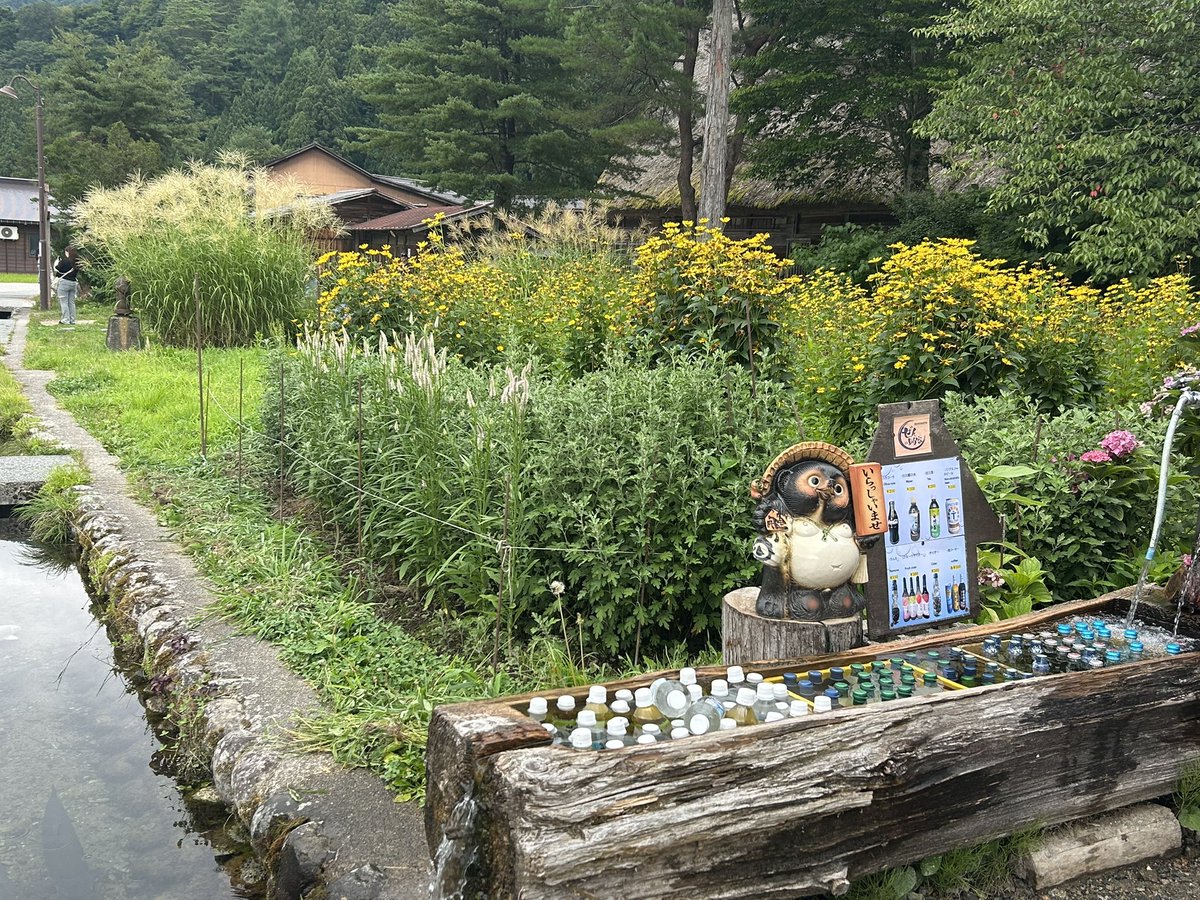 mini_fuwa's tweet photo. 暑さからの逃亡でひるがの高原と白川郷に行ってきました🚗

白川郷ではだいちに声をかけてくれたり、カメラを向ける方も📷
日本の思い出の一枚にだいちのニパニパ顔が😆🐶

帰路途中の美濃加茂SAに降りた途端、現実に引き戻されました🥵

今日は一歩も家から出たくない…
ひるがの高原、涼しかった〜🍃 https://t.co/5Xhamf6nhm