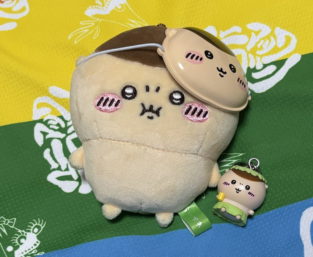 atata_unun02's tweet photo. 信じられないくらいかわいい https://t.co/qtjzpFW3LZ