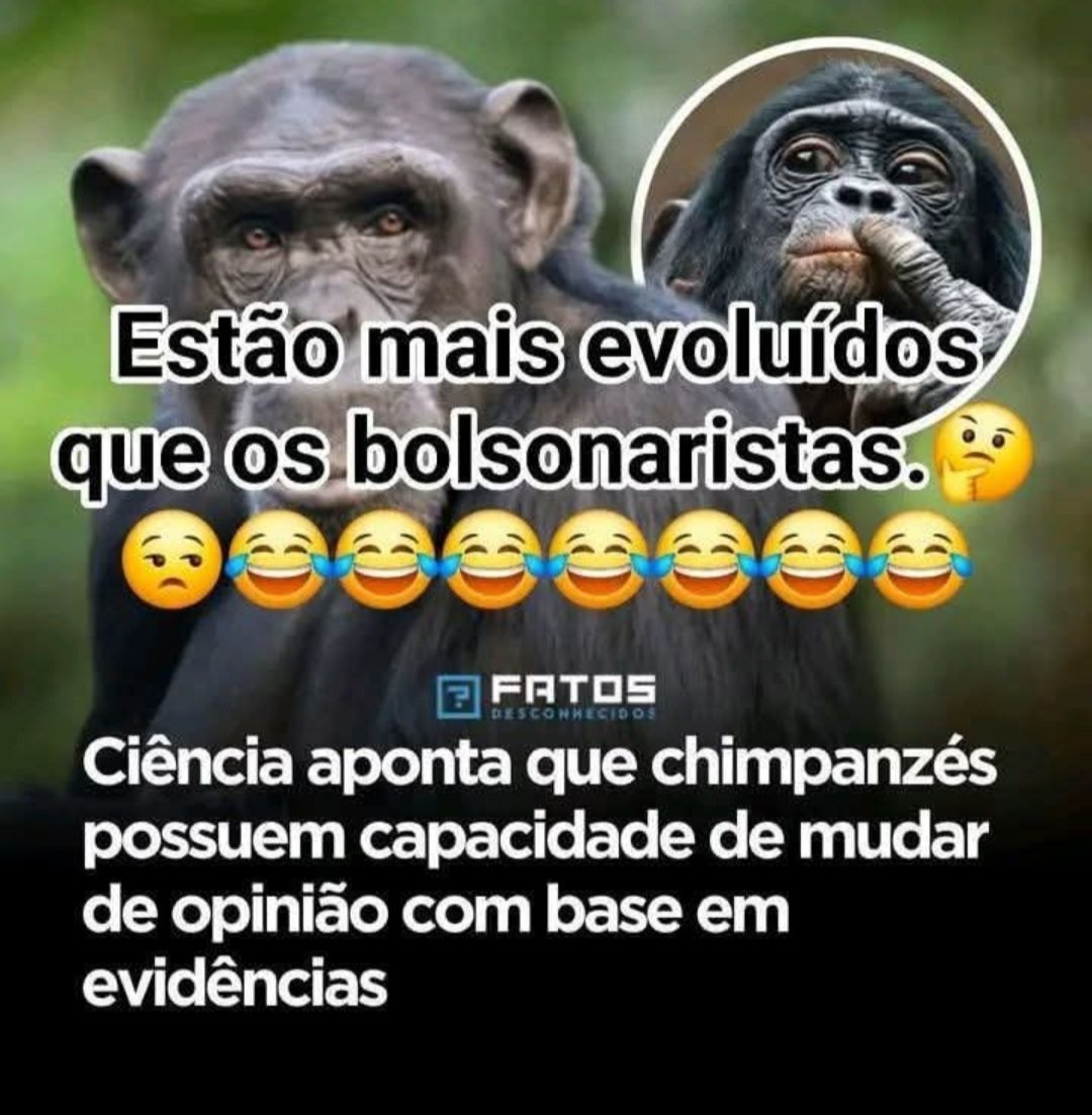 Everton2039's tweet photo. Lembre-se nunca esqueça disso. https://t.co/1s2GGFWD4u