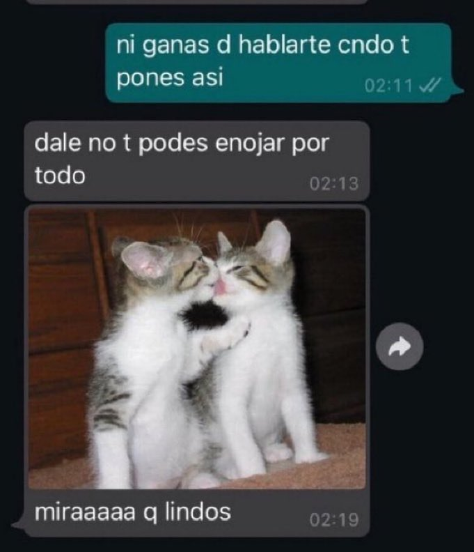 JURIOBOLUDO's tweet photo. mira que lindos https://t.co/yCQ3EkYdEa