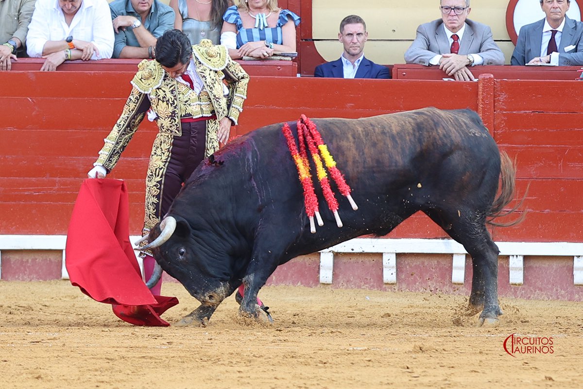 TercioQuites's tweet photo. No se puede torear con más hondura y clase que este torero. https://t.co/BAxzLotkLB