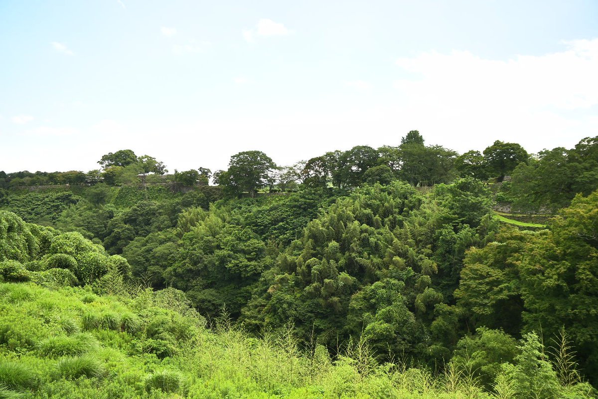 since_20120303's tweet photo. 2026年7月8日
大手門跡から西側エリアを順に見学してきた
地図で見る以上にかなり広いことが分かる
清水谷越しに三の丸方面を眺める
ここもかなりの谷であった https://t.co/HFG6fKGlX1