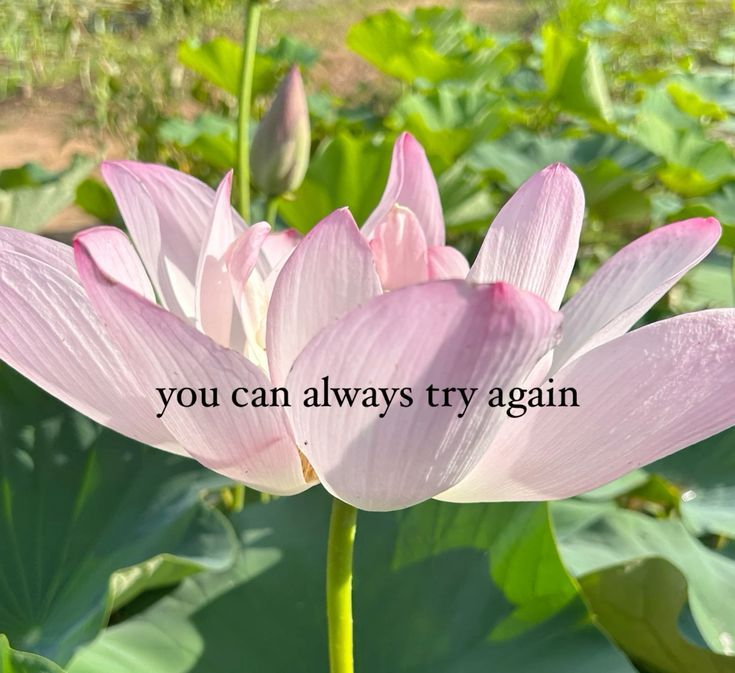niznav's tweet photo. https://t.co/s3shRZrZdc