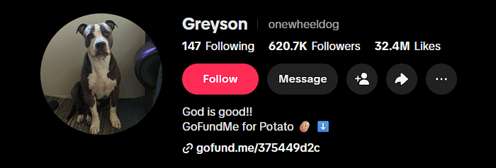 Den_O1_'s tweet photo. Greyson NEEDS to Send.

This dog Greyson literally rides his one wheel with his owner. 

The TikTok has 6.8 MILLION LIKES AND 33 MILLIONS VIEWS!!!

I do not understand how this hasn't bonded and sent yet.

https://t.co/IetcfuVYhQ