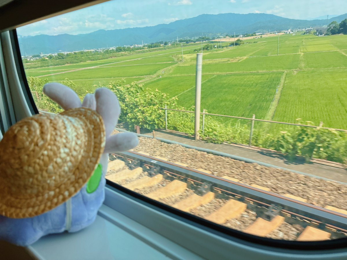 yourin192's tweet photo. おでかけ楽しみだね、ヌメラ https://t.co/c3YQYqJYes