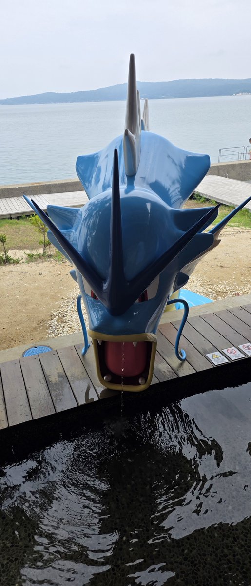 96ixy's tweet photo. ニョロモ・ニョロトノは湧いてくるお湯で寛いでるのに、ギャラドスは口からお湯を出すという無限肉体労働を強いられている。 https://t.co/vgbPDIWLZL