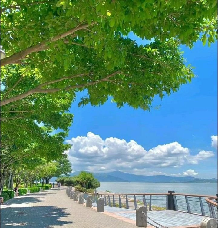 calmlivng's tweet photo. fresh air https://t.co/XpCdE0ERjc