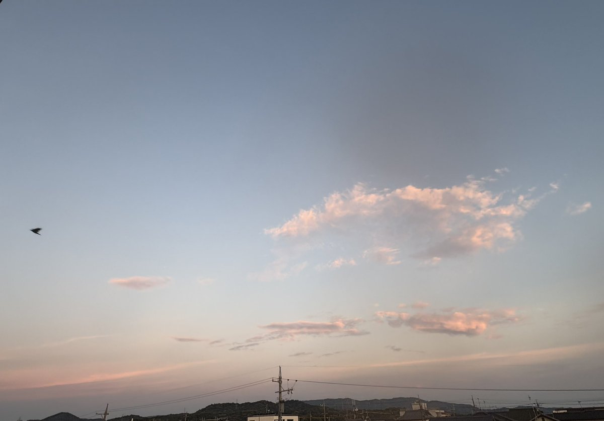 snowdrop_772017's tweet photo. 鳥が飛ぶ空ー青空から夕暮れ空へ

8月はじめの１日も、とっても暑い日でした…｡
花火大会が始まる少し前､綺麗な夕焼け空が見えました…｡

#昨日の空  #昨日の空色 #空
#夕焼け空 #夕焼け #夕暮れ
#見上げた空の色
#空を見上げて
#8月の空
#空がある風景 https://t.co/UmJIEtfcbT