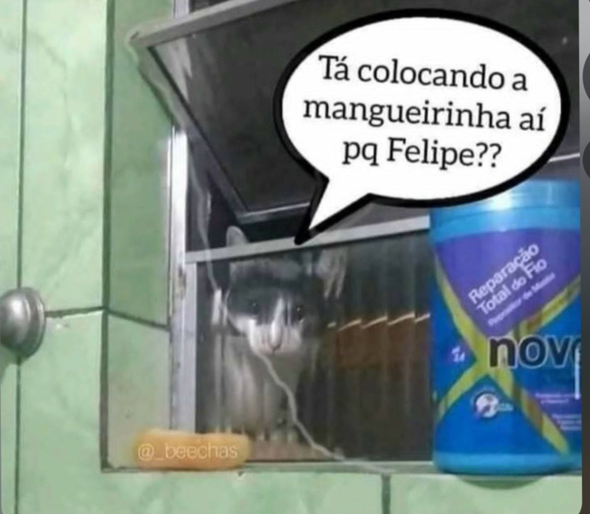 pardald3sign's tweet photo. Eita felipe https://t.co/6tbWoh8Clr