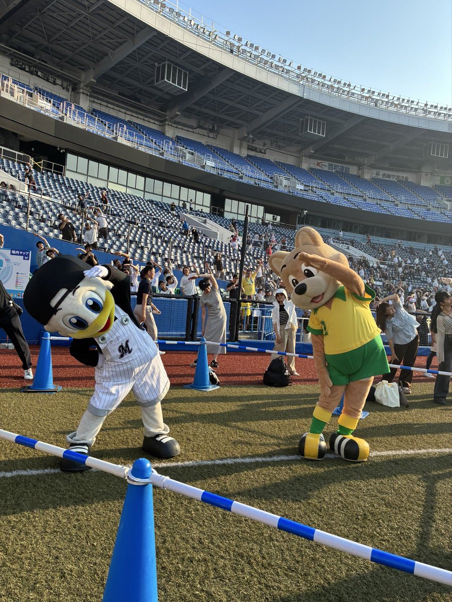 jef_united's tweet photo. 🌞📻 #夏休みラジオ体操

今日は #ZOZOマリンスタジアム で開催された「第65回1000万人ラジオ体操・みんなの体操祭 in 千葉」に #ジェフィ が参加しました🙌

千葉ロッテマリーンズの #ズーちゃん と一緒にラジオ体操🤸✨

みなさんと一緒に元気いっぱい体を動かしたあとは…

暑さに負けてジェフィはバテバテ😂💦
最後の写真は、そんなジェフィの「おつかれモード」です🤭

ご参加いただいた皆さま、ありがとうございました😊

📢 次回のジェフィ参加のラジオ体操は
8月22日(土) 8:35～
📍蘇我コミュニティセンター

ぜひ一緒に体を動かしましょう🙌

#jefunited
#シャレン