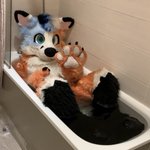 Photo by Artemis Water Fox 🦊 (@Wartemiser)