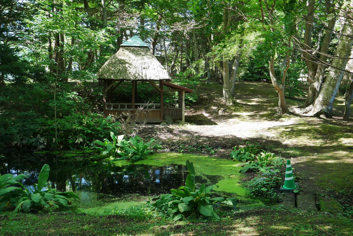 p45knw6c's tweet photo. 公園の木陰を流れる風が心地良い。 https://t.co/yiK8WY0QqX