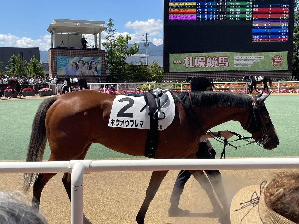 Araziru_1722's tweet photo. キタサンブラックの子がメイクデビュー戦で勝ちました！！！
 #札幌競馬場 https://t.co/1qOZi7q86V